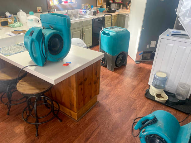 Best Professional water damage repair  in Cresson, TX