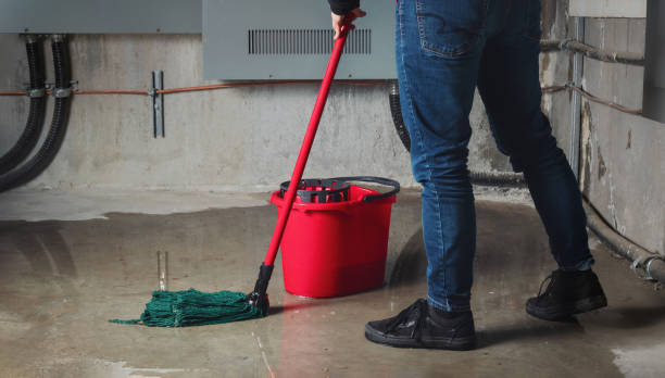 Best Ceiling water damage repair  in Cresson, TX