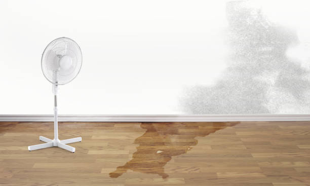Cresson, TX Water damage restoration Company