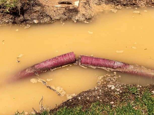 Best Water damage restoration near me  in Cresson, TX