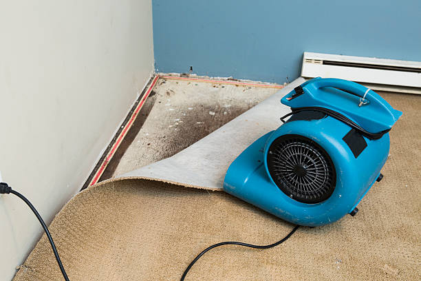 Best Water damage contractors near me  in Cresson, TX